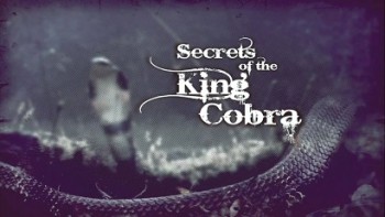 Загадки королевской кобры / Secrets of the King's Cobra (2009)