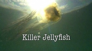 Медуза-Убийца / Killer Jellyfish (2006)