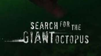 В Поисках Гигантского Осьминога / Search for the Giant Octopus (2009)