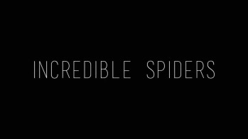 Удивительные пауки / Incredible spiders (2015)