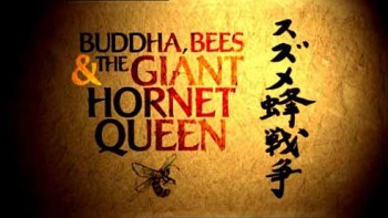 Будда, пчелы и королева гигантских шершней / Buddha Bees and the Giant Hornet Queen (2006) HD