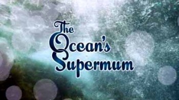 Исключительные морские млекопитающие / The Ocean's Supermum (2009)