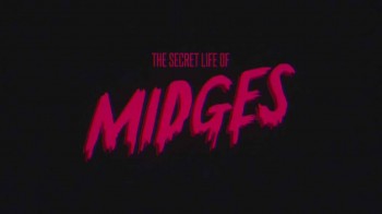 Тайная жизнь мошкары / The Secret Life of Midges (2015)