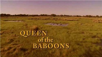 Королева бабуинов / Queen of the Baboons (2015)