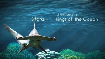 Акулы: Властелины подводного мира / Sharks: Kings of the Ocean (2012) HD