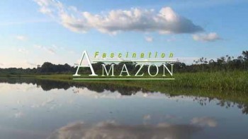 Южная Америка: Удивительная Амазонка / South America: Faszination Amazonas (2012) HD