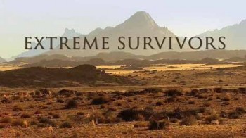 Выжить несмотря ни на что / Extreme Survivors (2014)