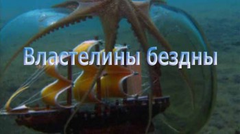 Властелины бездны / Diving With Aliens (2004)