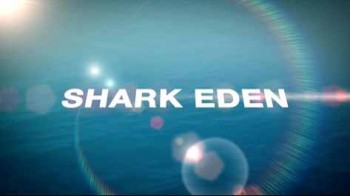 Акулий рай / Shark Eden (2010)