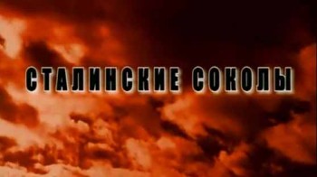 Сталинские соколы. Крылатый штрафбат (2009)