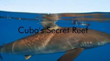 Секретный кубинский риф / Cuba's Secret Reef (2015)