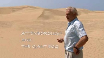 Аттенборо и гигантское яйцо / Attenborough and the Giant Egg (2011)