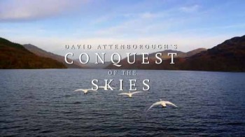 Покорение небес Дэвида Аттенборо 1 серия. Первые летающие / David Attenborough's Conquest of the Skies (2014)