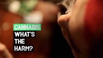 В чем вред марихуаны? / Cannabis:What's the Harm? (2011)