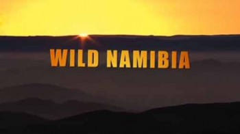 Дикая Намибия / Wild Namibia (2013)