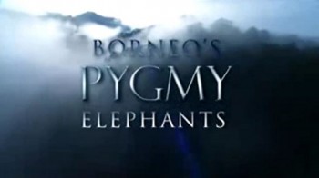 Слоны-пигмеи острова Борнео / Borneo's Pygmy Elephants (2007)