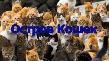 Остров Кошек / The Island Cats (2016)