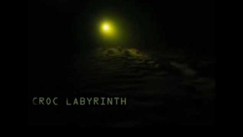 Крокодиловый лабиринт / Croc Labyrinth (2011)