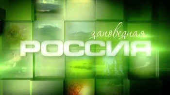 Заповедная Россия: Нижнесвирский заповедник (2012)