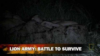 Армия львов: Битва за выживание / Lion Army: Battle To Survive (2009)