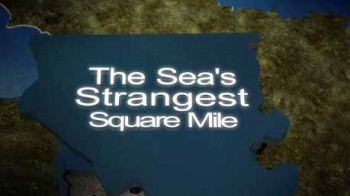 Самое странное место в океане / The Sea's Strangest Square Mile (2011)