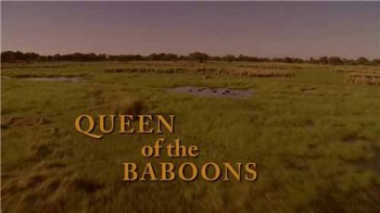 Королева бабуинов / Queen of the Baboons (2016)