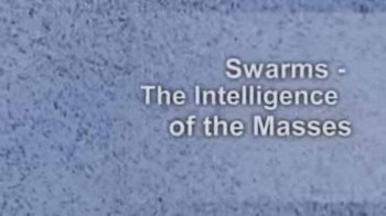 Коллективное сознание / Swarms - The intelligence of the Masses (2009)