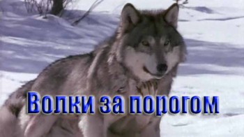 Волки за порогом / Wolves At Our Door (1999)