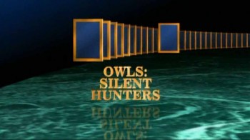 Ночные охотники: Совы / Silent Hunters: Owls