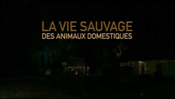 Дикая жизнь домашних животных / La vie sauvage des animaux domestiques (2009)