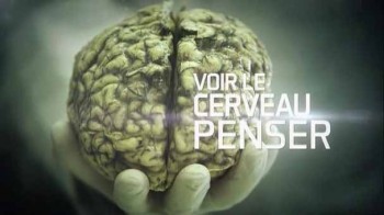 Как думает наш мозг / Voir le cerveau penser (2014)