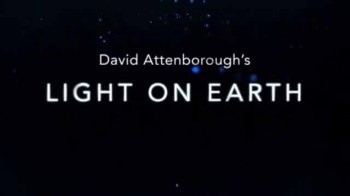 Живой свет с Дэвидом Аттенборо Биолюминесценция / Attenborough's Life That Glows (2016)