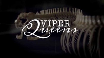 Королевы гадюк / Viper Queens (2016)