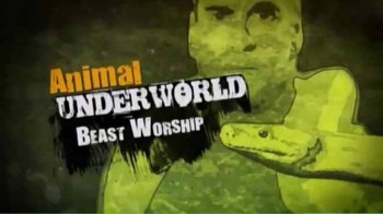 Потусторонний мир животных 2 серия. Культ зверей / Animal Underworld (2011)