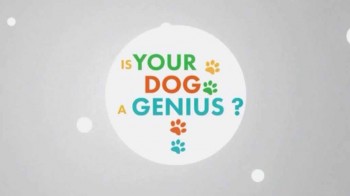 Насколько умна Ваша собака? 1 серия. Разговор по собачьи / Your dog genius? (2014)