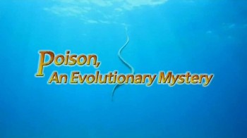 Яд. Достижение эволюции 1 серия. Яд и стратегия выживания / Poison, an evolutionary mystery (2015)