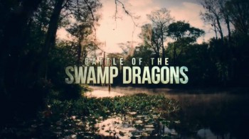 Битва болотных драконов / Battle of the Swamp Dragons (2017)