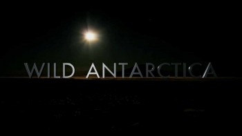 Дикая Антарктида / Wild Antarctica (2015)