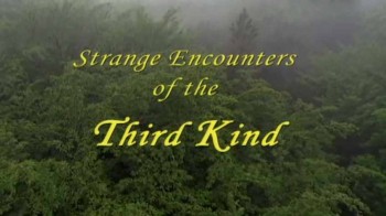 Странные контакты третьей степени / Strange Encounters of The Third Kind (2004)