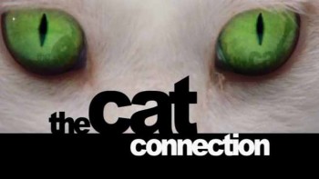 Загадочные кошки / The Cat Connection (2002)