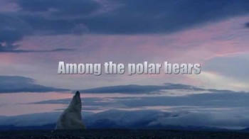 Среди белых медведей или приключения в русской Арктике / Among the Polar Bears - Adventure in Russia's Arctic (2009)