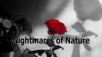 Кошмары дикой природы 3 серия. Хладнокровные убийцы / Nightmares of Nature (1995)