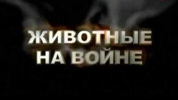 Животные на войне (2010)