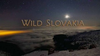 Дикая природа Словакии / Wild Slovakia (2015)