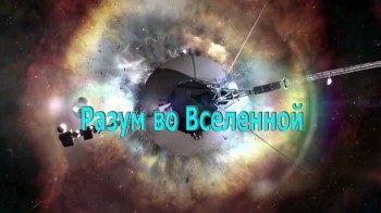 Разум во Вселенной (2017)