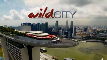 Дикий город 2 серия. Городская природа / David Attenboroughs: Wild City (2015)