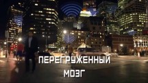 Перегруженный мозг (2017)