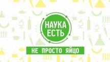 Наука есть. Яйцо (2017)