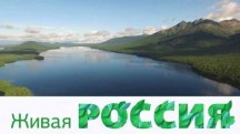 Живая Россия (2017)