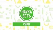 Наука есть. Сыры (2018)